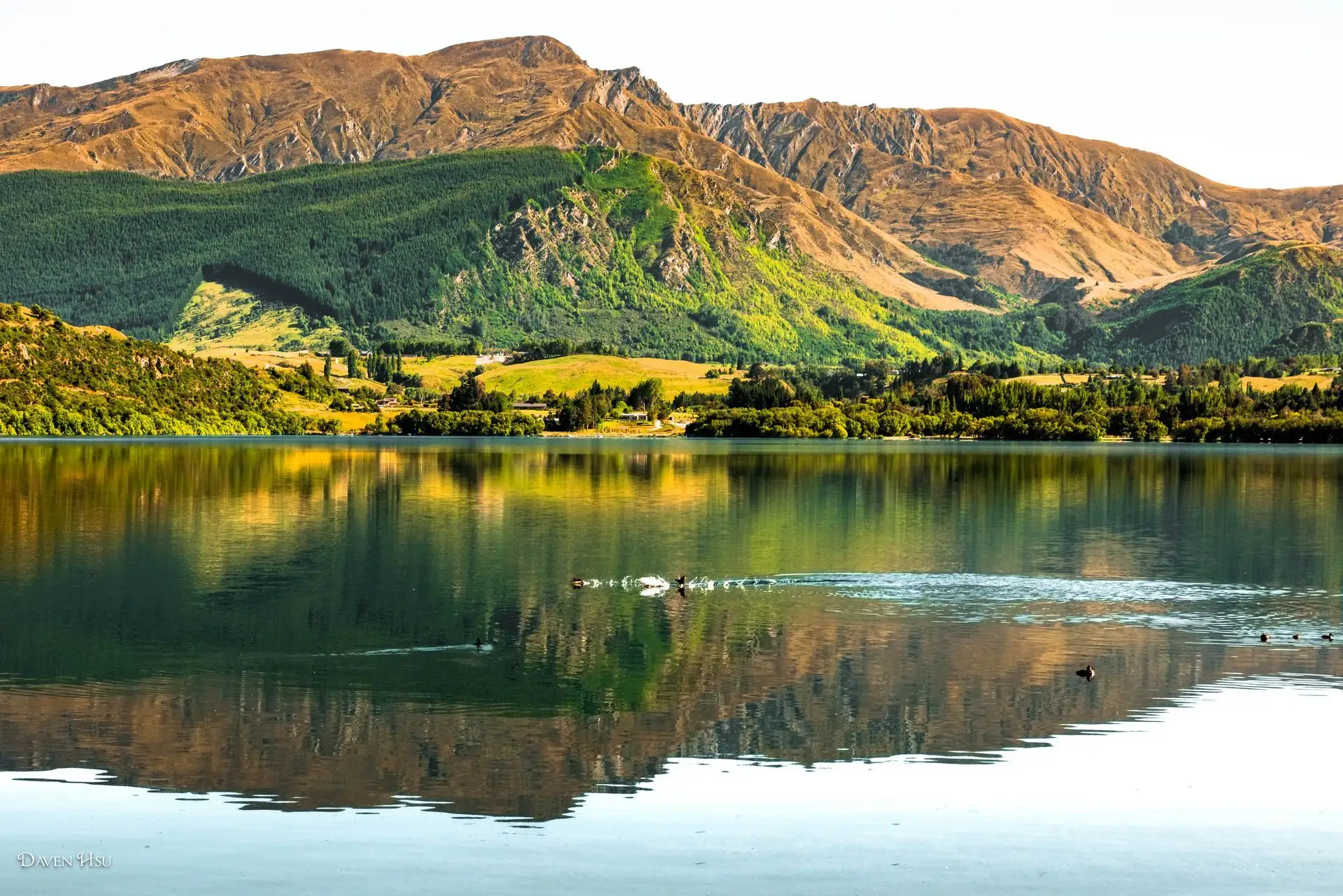 Golden hills reflected in Lake Wanaka