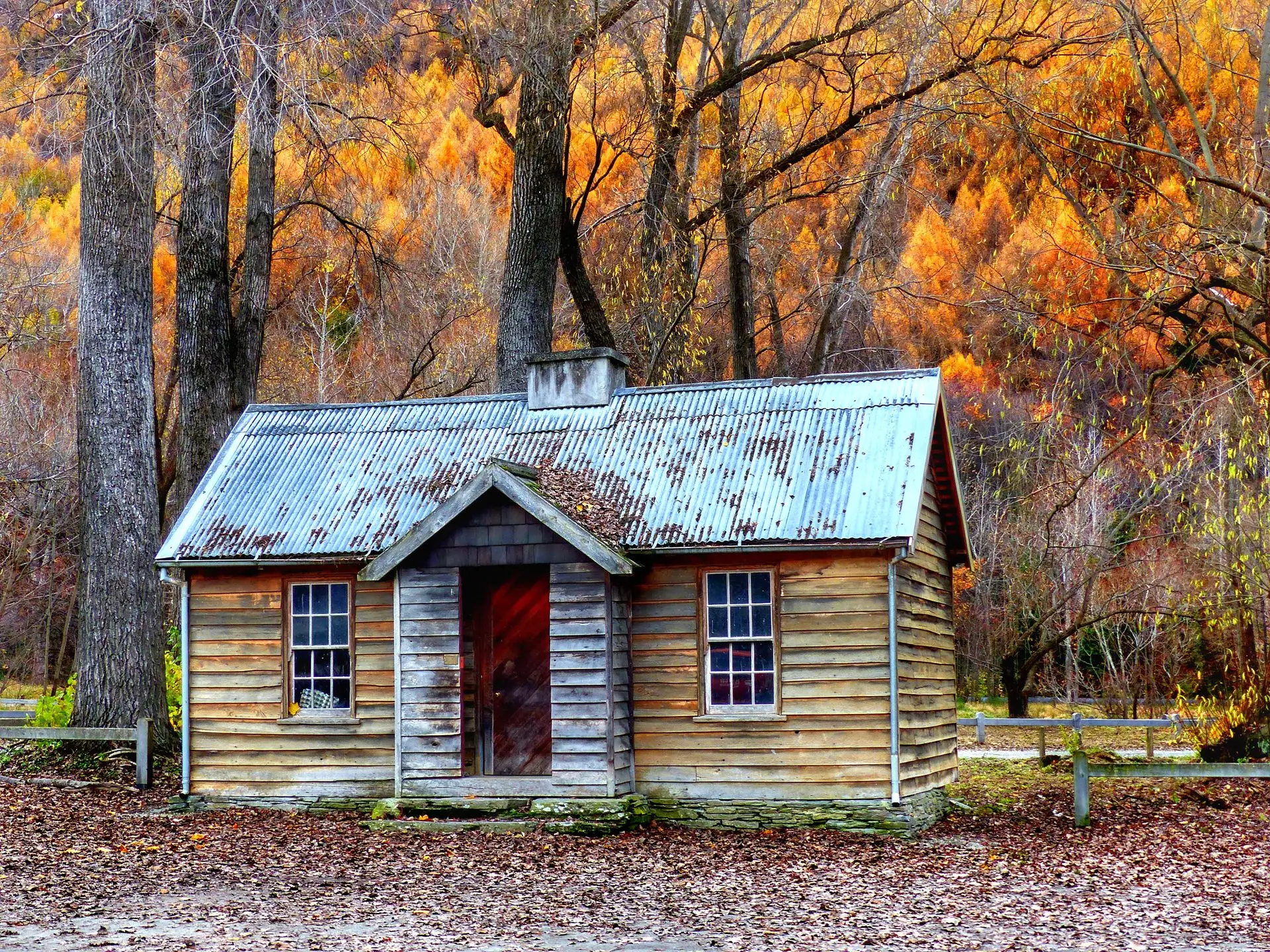 A weathered timber cottage framed by golden and crimson autumn foliage, Arrowtown