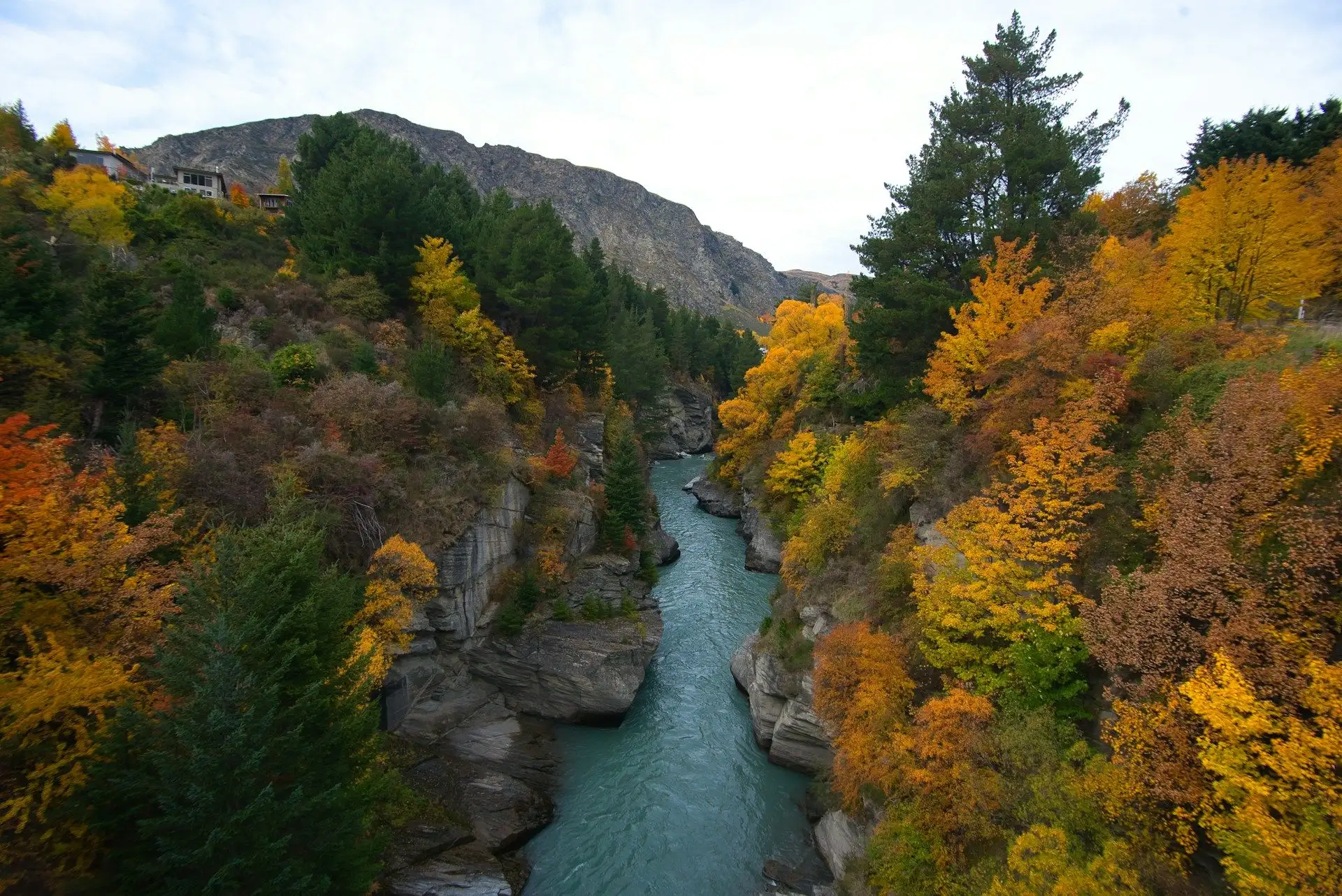 Autumn colour above a turquoise river gorge near Queenstown