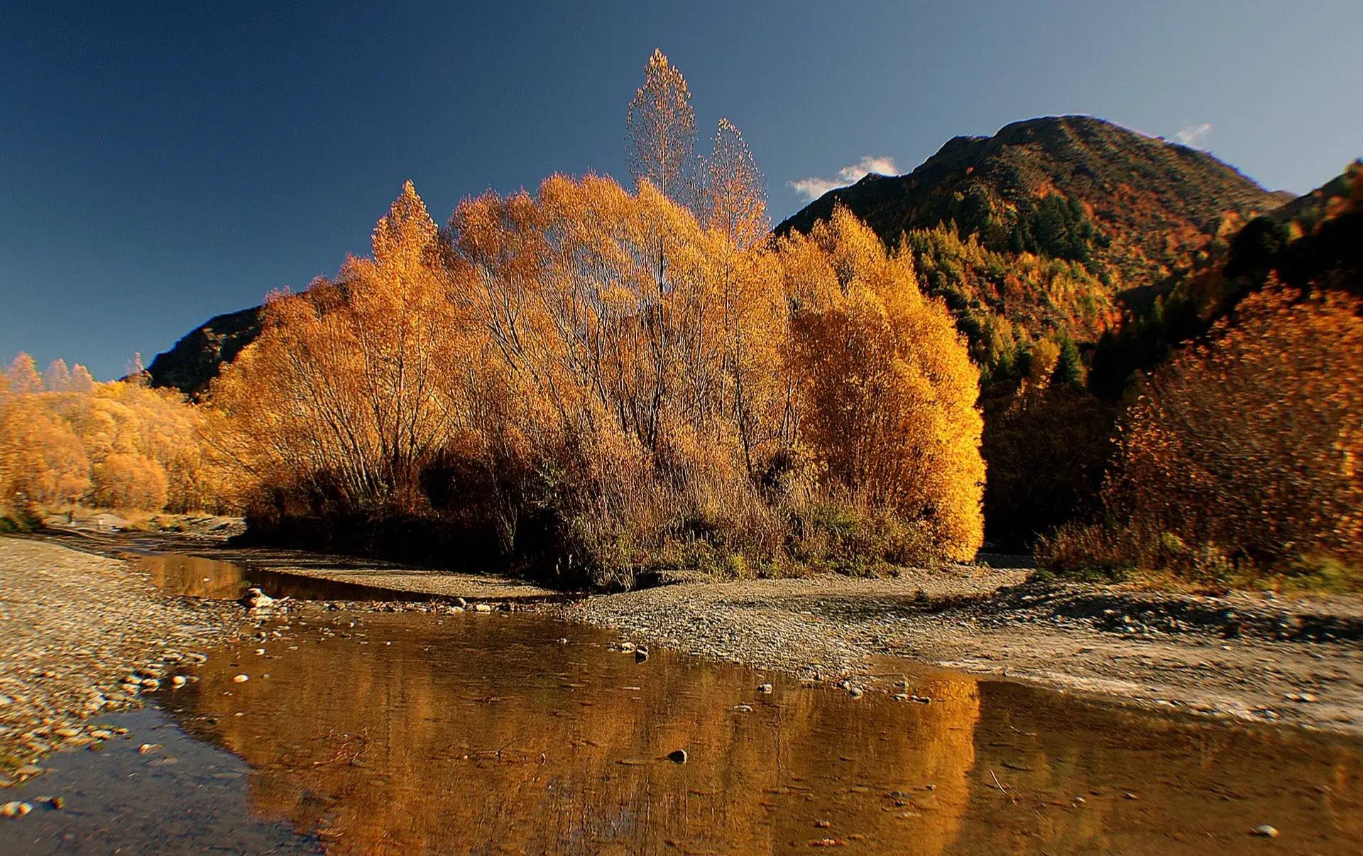 Golden autumn trees reflected in a pool of the Arrow River below the hills