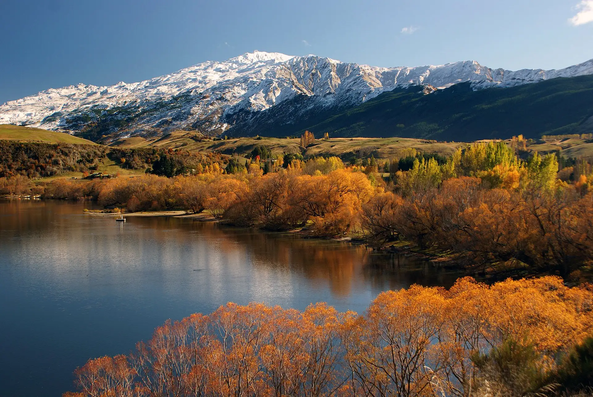 Golden and amber autumn trees mirrored in calm Lake Hayes below snowy peaks