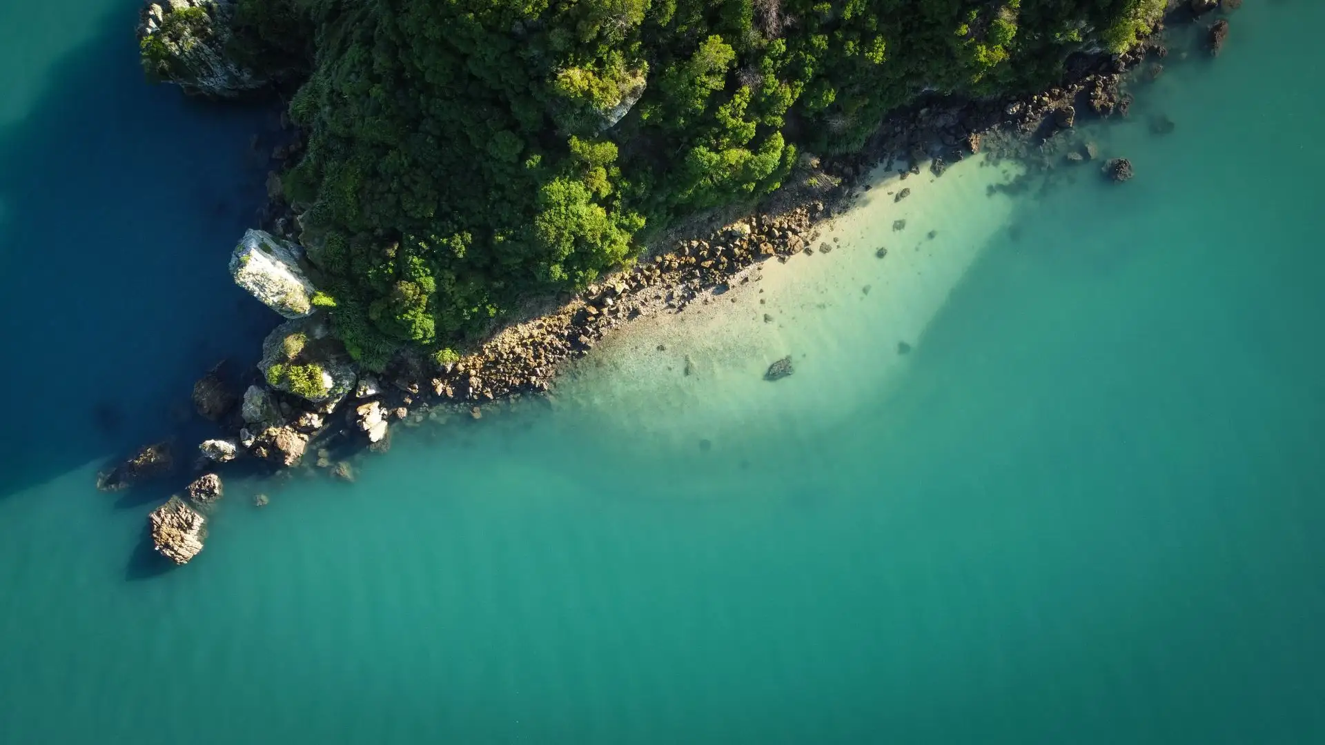 A white-sand beach and turquoise water seen from above