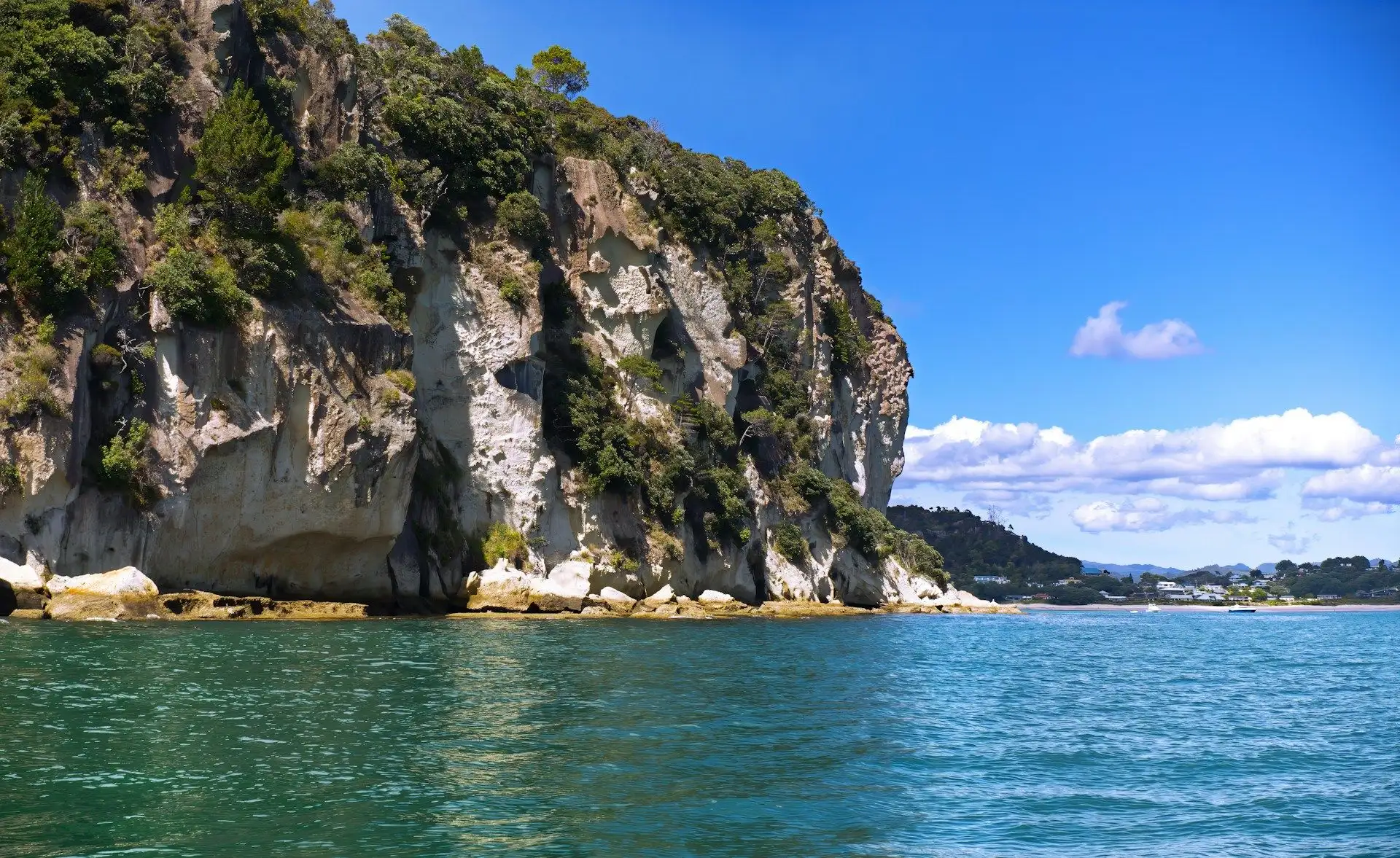 White limestone cliffs above turquoise water near Cathedral Cove under a blue sky