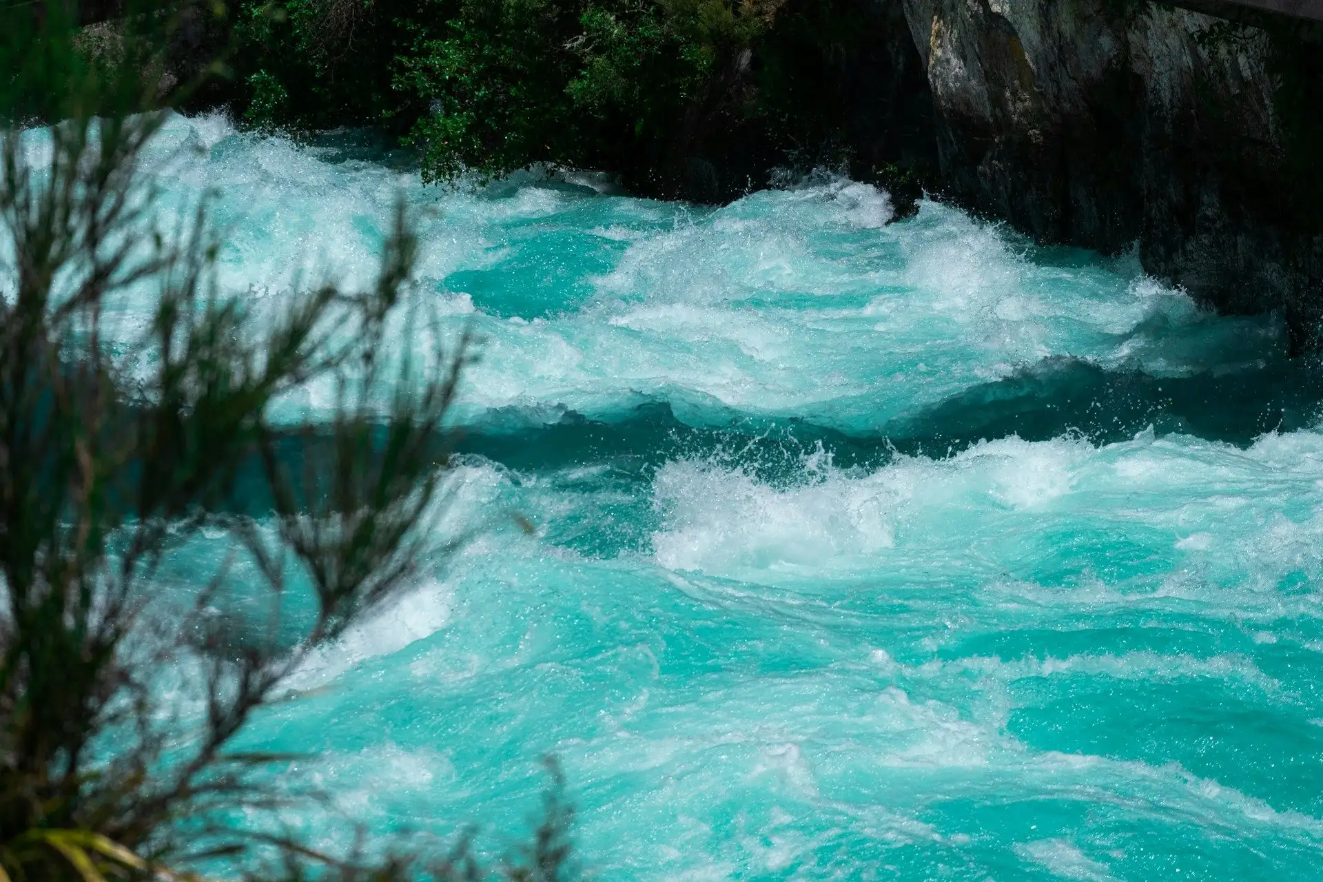 Turquoise rapids of the Waikato River at Huka Falls with golden gorse in the foreground