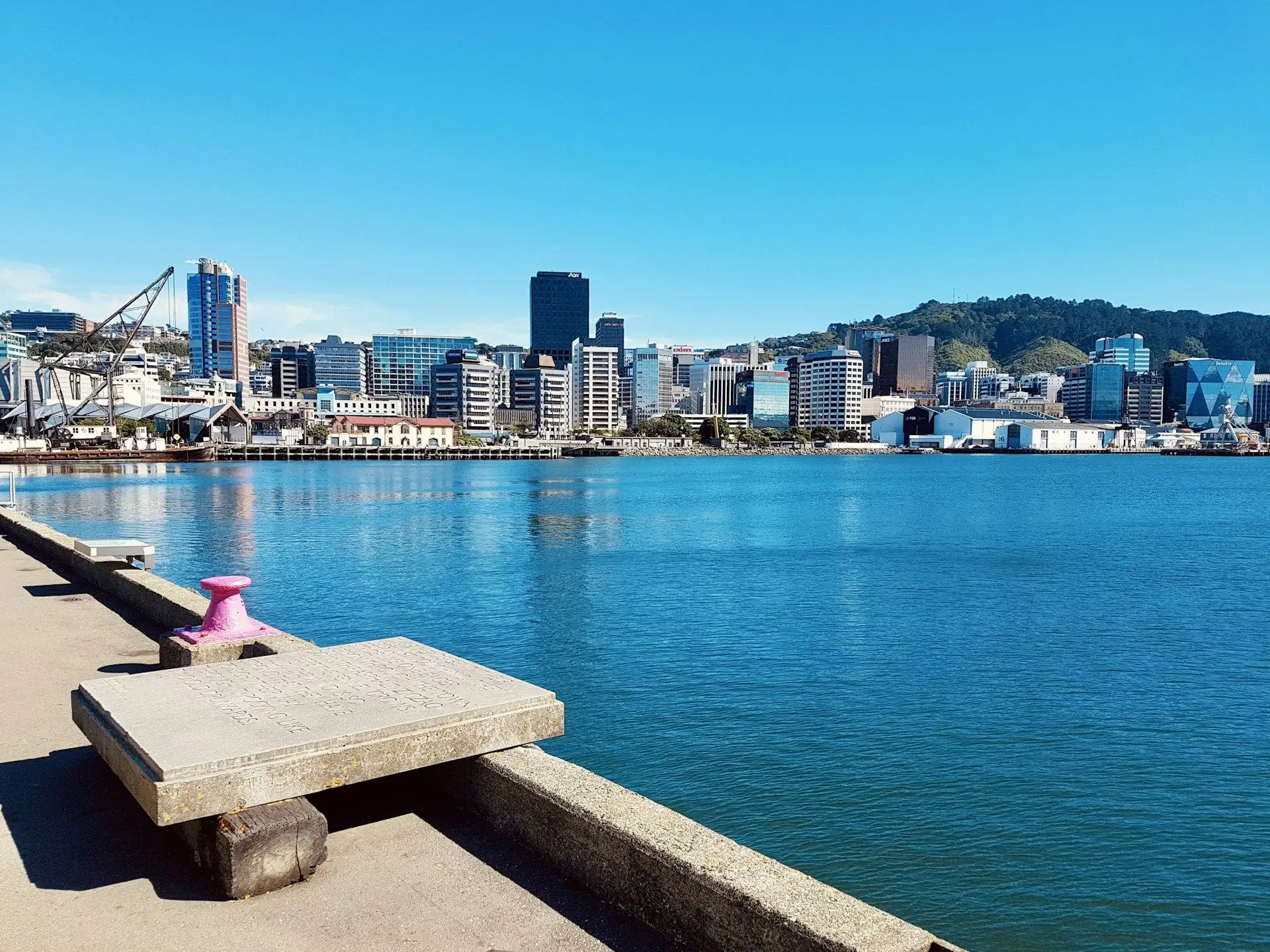 Wellington's city skyline across blue harbour water