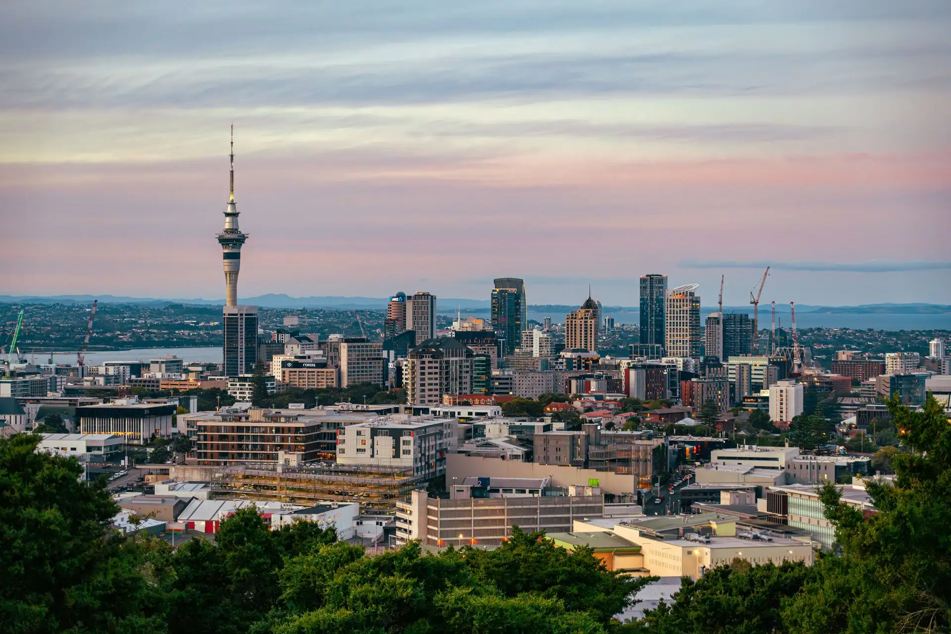 The Sky Tower and Auckland city centre at a pink dusk