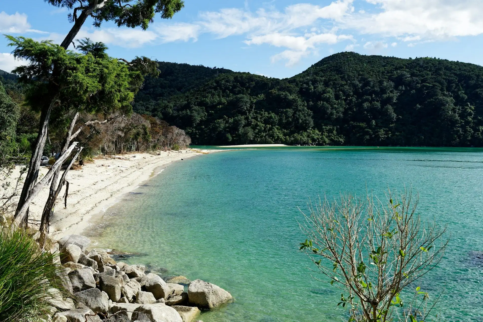A white-sand beach and turquoise bay below bush-covered hills under a blue sky, Abel Tasman National Park