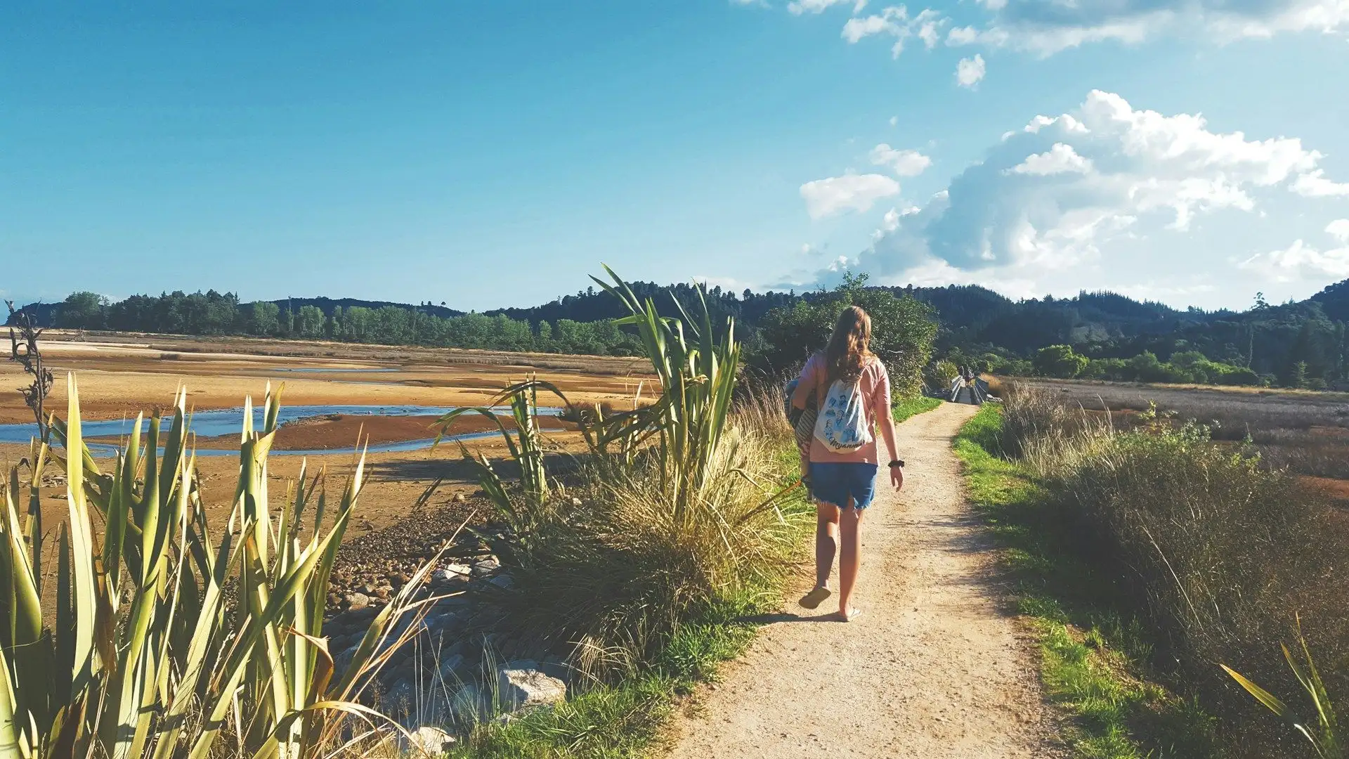 A walker on the coast track among flax in Abel Tasman National Park