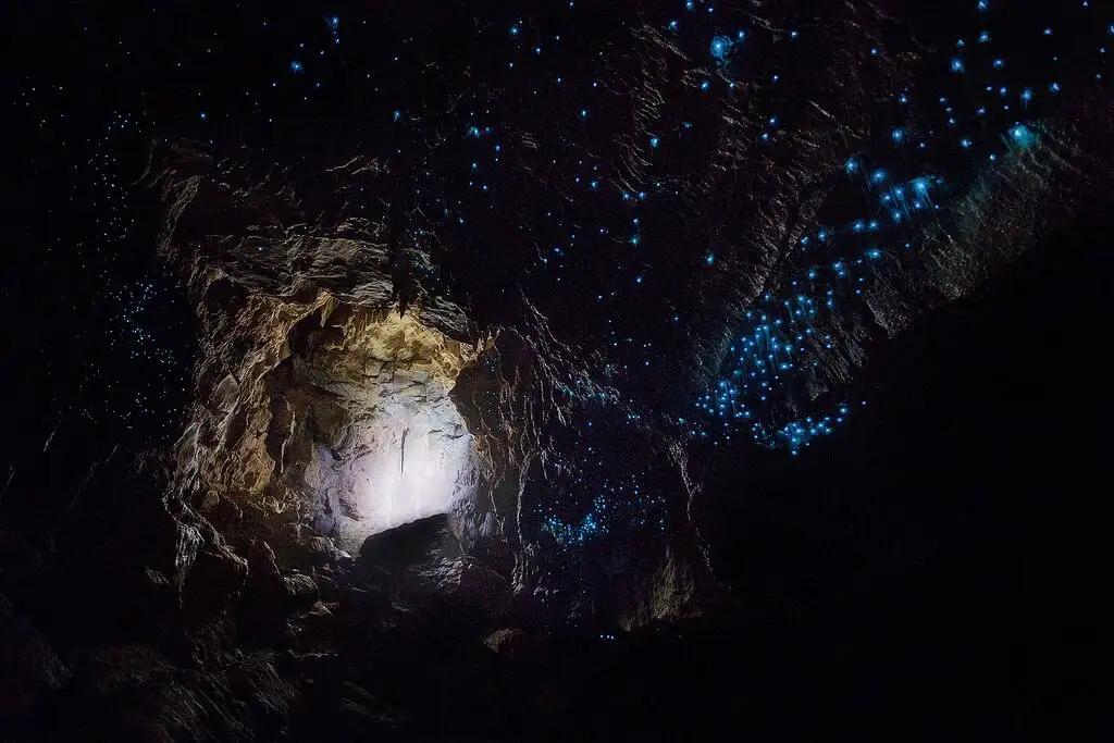 Glowworms glittering on the roof of a cave at Waitomo