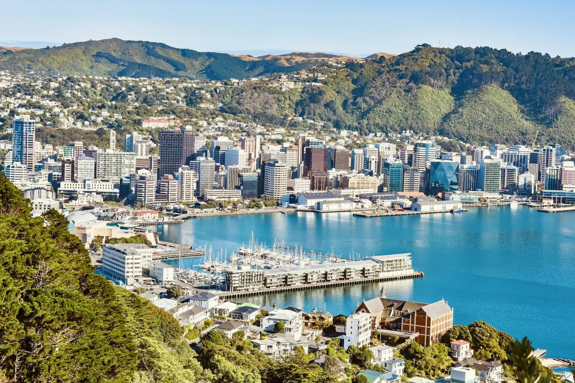 Wellington's marina and CBD from the hill above