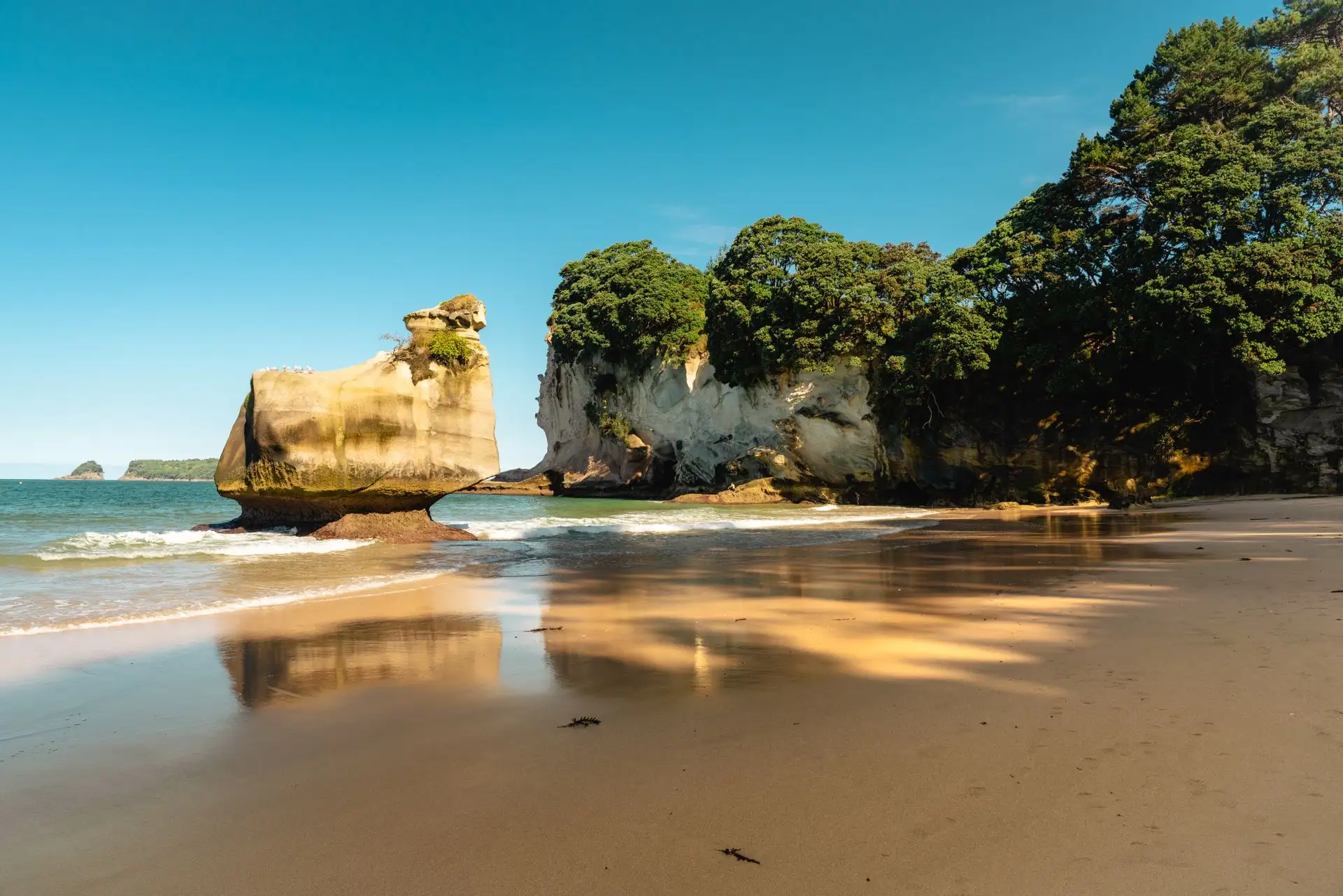 A golden beach and rock stack at Cathedral Cove under a blue sky