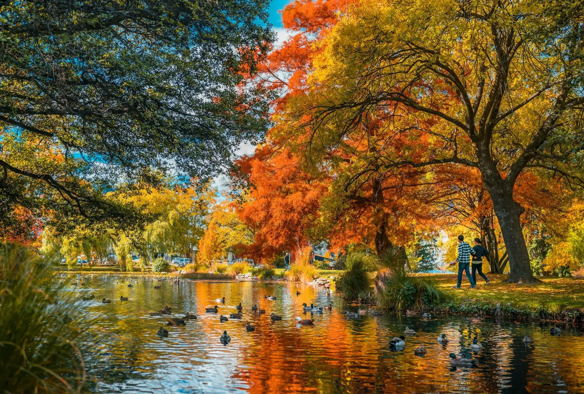 Red and orange autumn trees reflected in a still pond near Queenstown