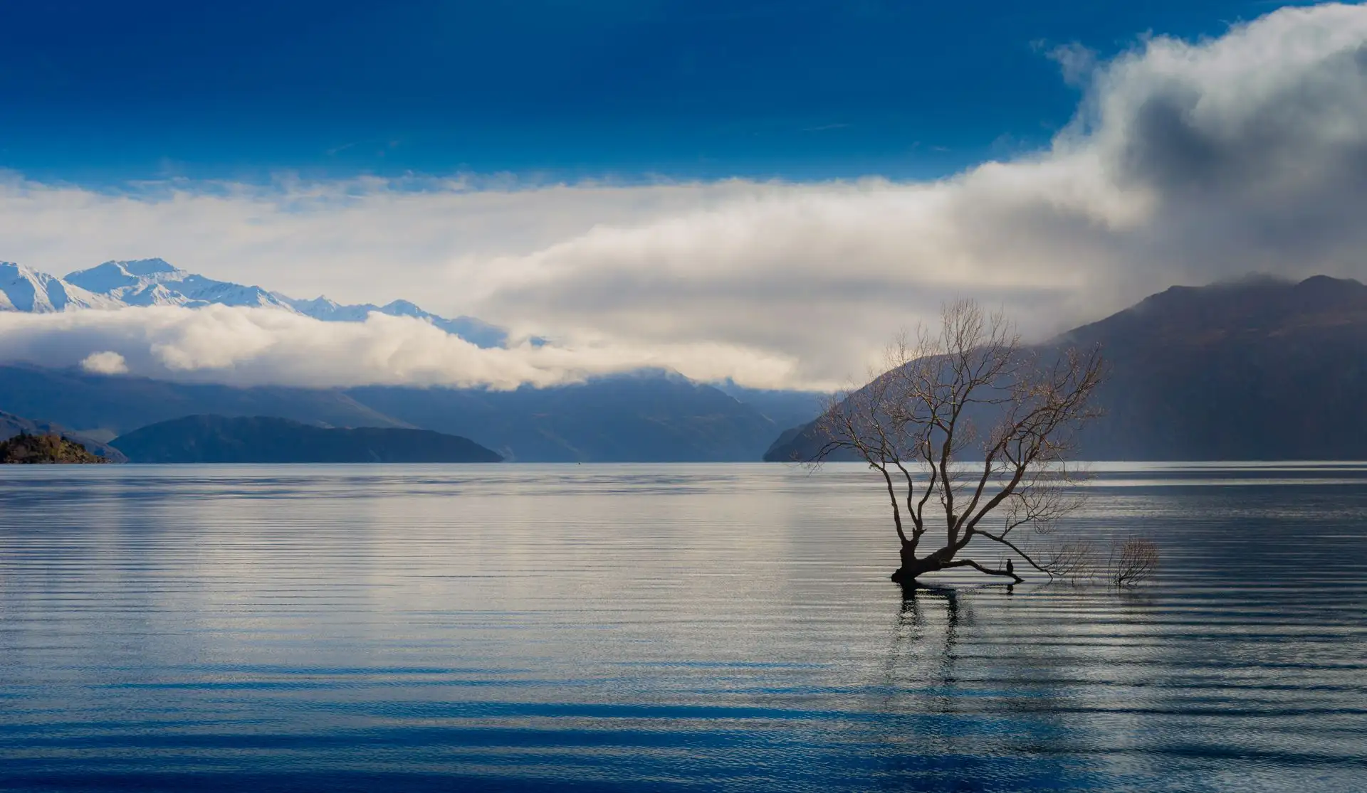 A bare tree in Lake Wanaka beneath a dramatic cloud with mountains behind